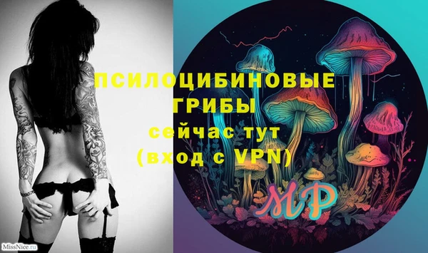 стафф Пестово