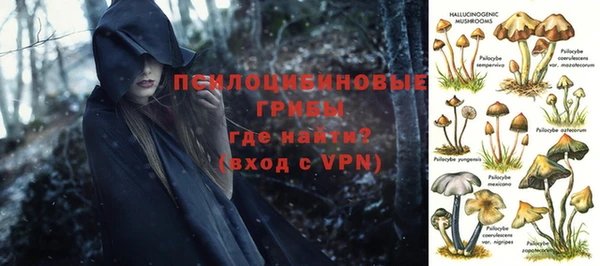 первитин Пересвет