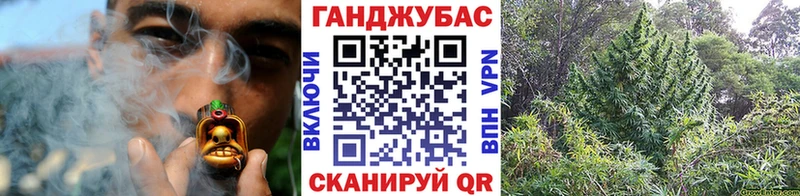 Конопля гибрид  Ессентуки 